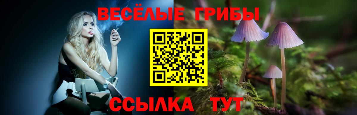 Переславль-Залесский  Галлюциногенные грибы MAGIC MUSHROOMS  Вход с VPN 